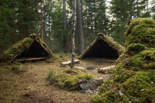 brown wooden house in the woods
