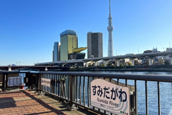 A view of a city from a bridge