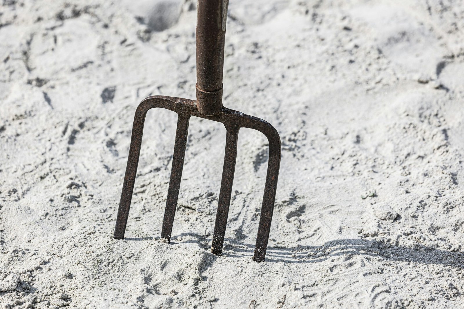 A fork stuck in the sand on a beach