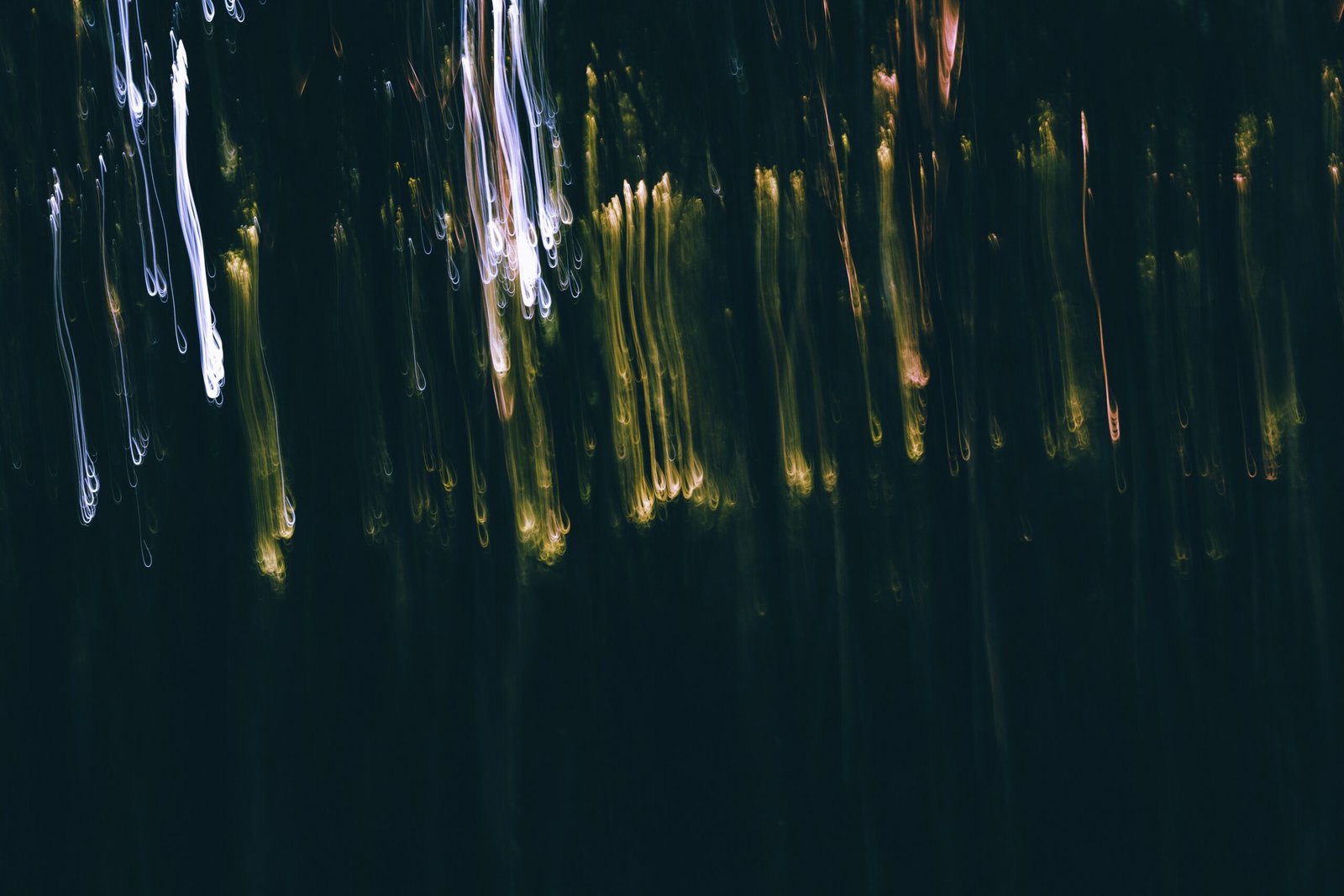 a blurry photo of trees in the night