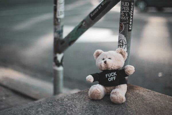 brown bear plush toy on black metal bar