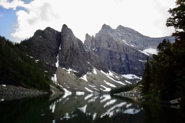 trees beside mountain near body of water