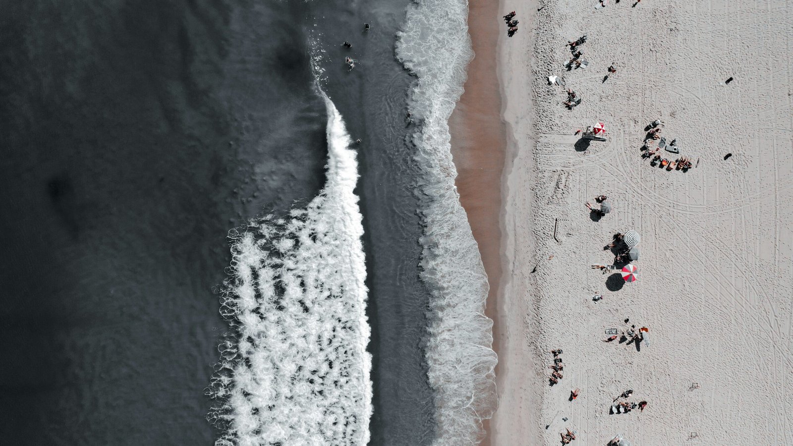 people on beach during daytime