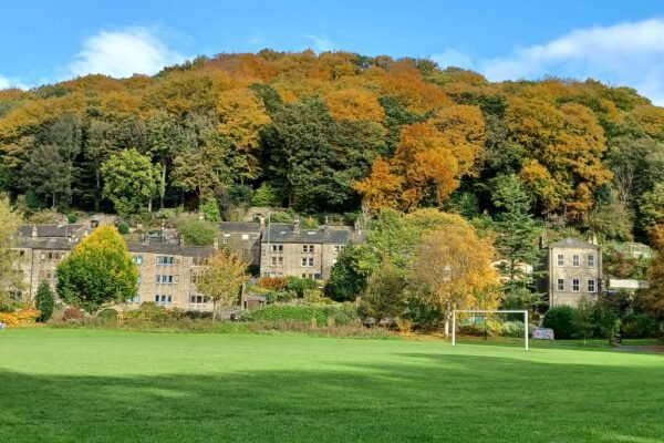 Autumn trees cover a hillside above village buildings.